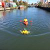 [Update] Photos: Activist Takes The Plunge Into The Sewage Waters Of Gowanus Canal